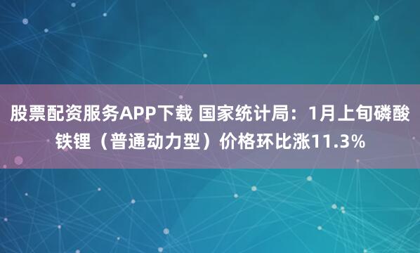 股票配资服务APP下载 国家统计局：1月上旬磷酸铁锂（普通动力型）价格环比涨11.3%